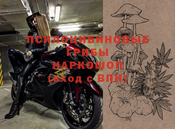 метадон Белокуриха