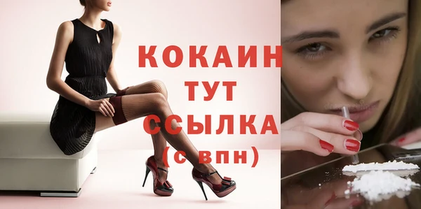 тгк Богородицк