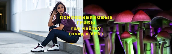 спайс Богородск