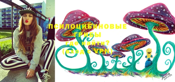 спайс Богородск