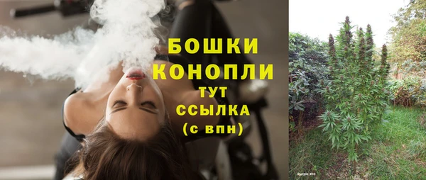 спайс Богородск