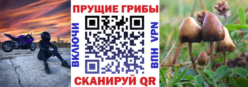 Псилоцибиновые грибы MAGIC MUSHROOMS  Тырныауз 
